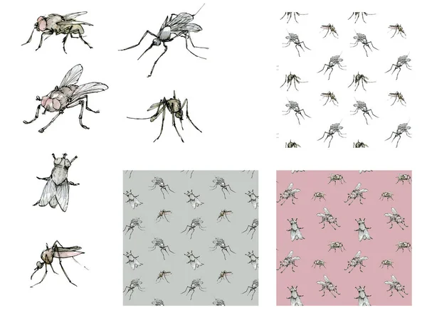 ハエや蚊、シームレスなパターンを持つ昆虫の水彩イラストセット。白を基調としたパステルカラーのスケッチ。インクで手描きのエレガントなクリップアート. — ストック写真