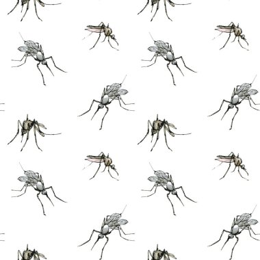 Sivrisinek desenli suluboya desenli, beyaz arka planda izole edilmiş pastel renkli çizim. Mürekkeple çizilmiş zarif böcekler..