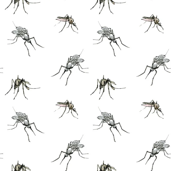 Akvarell sömlös mönster med mygga, pastell färg skiss isolerad på en vit bakgrund. Eleganta insekter dragna för hand med bläck. — Stockfoto