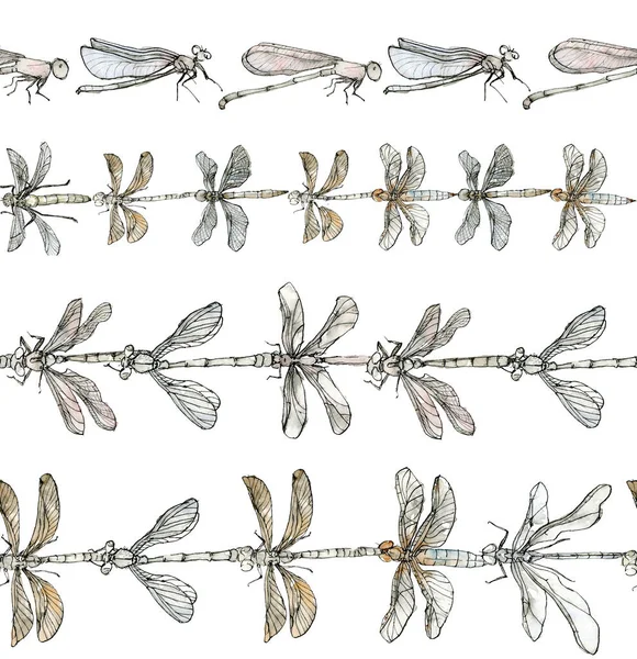 Watercolor illustration of dragonfly, seamless stripes set, a pastel color sketch isolated on a white background. Elegant insects drawn by hand with ink. — Foto Stock