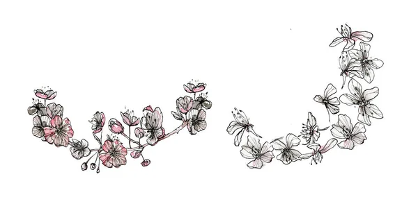 스프링 워터 컬러 경계선, 스케치 스타일의 파스텔 그림. 복사 공간 이 있는 낭만적 인 꽃무늬 그림, 흰 배경에 따로 떨어져 있는 모습. — 스톡 사진