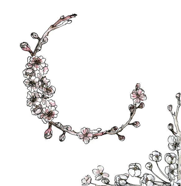 Aquarell und Tusche Illustration Set von blühenden Kirschbaum im chinesischen Malstil. Frühlingsblumen-Skizze: Kegel und Kranz isoliert auf Weiß — Stockfoto