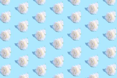 Pastel mavi arka planda beyaz gül tomurcuklarından oluşan yaratıcı desen. Asgari düzeyde. Doğa konsepti.