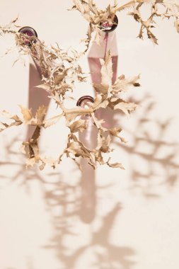 Pastel bej arka planda, gölgeli bir vazoda kurumuş bir dal. Asgari güneş ışığı kompozisyonu. Doğa konsepti. Üst görünüm