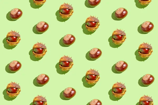 Creative Pattern Made Chestnuts Sunlit Green Pastel Background Nature Consept — Stock Photo, Image