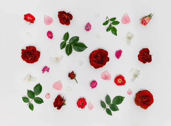 Patrón Floral Hecho Hermosos Capullos Rosa Sobre Fondo Blanco Concepto — Foto de Stock