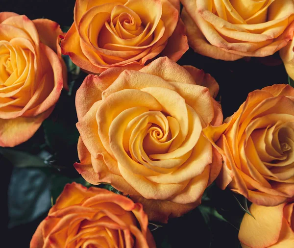 Bouquet Belles Roses Jaunes Tout Près Sur Fond Sombre Cadeau — Photo