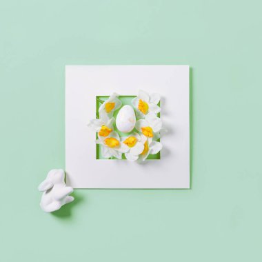 Beyaz çerçeveli pastel arka planda paskalya tavşanı ve nergis çiçeklerinden oluşan yaratıcı bir kompozisyon. Minimum tatil konsepti. Üst Manzara. Düz yatıyordu