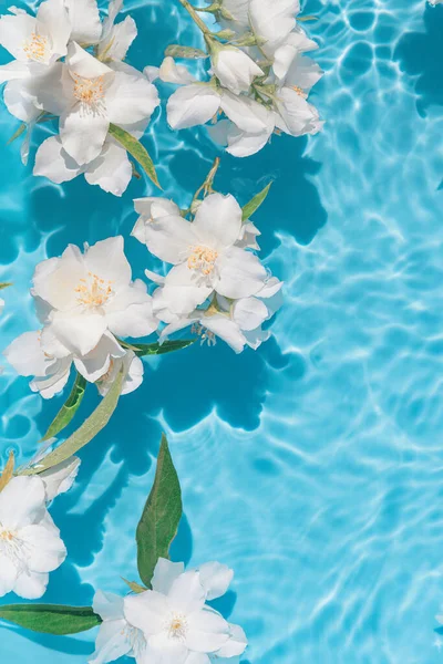 Białe Kwiaty Jaśminu Niebieskiej Przezroczystej Wodzie Letnia Kompozycja Kwiatowa Słońcem — Zdjęcie stockowe