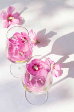 Güneş ışığı ve gölgeyle beyaz zemin üzerinde çiçek suyu bulunan iki bardaktan oluşan yaratıcı bir kompozisyon. Yaz ve ferahlatıcı konsept. Asgari biçim