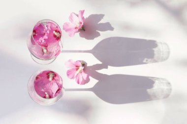 Güneş ışığıyla beyaz zemin üzerinde çiçek suyu bulunan iki bardaktan oluşan yaratıcı bir kompozisyon. Yaz ve ferahlatıcı konsept. Asgari biçim