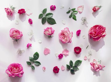 Beyaz arka planda güzel gül tomurcuklarından oluşan yaz deseni. Doğa konsepti. Asgari düzeyde. Üst Manzara. Düz yatıyordu