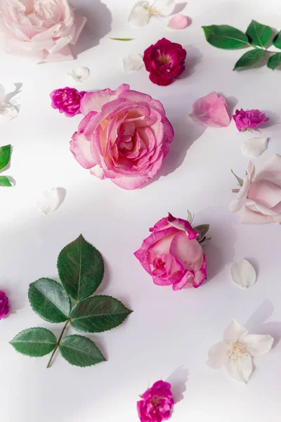 Patrón Verano Hecho Hermosos Brotes Rosa Sobre Fondo Blanco Concepto — Foto de Stock