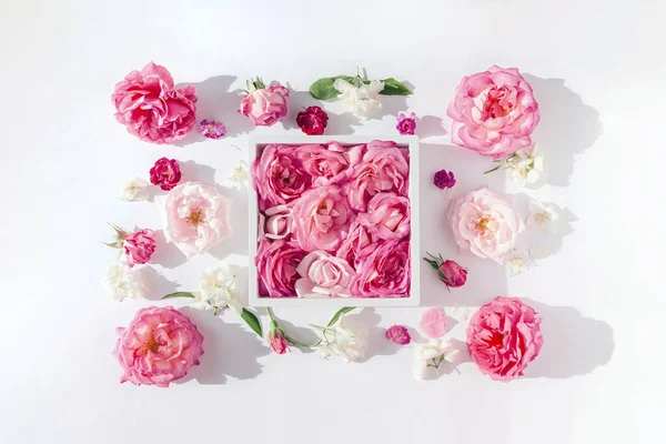 Hermosos Brotes Rosa Marco Sobre Fondo Blanco Composición Floral Verano — Foto de Stock