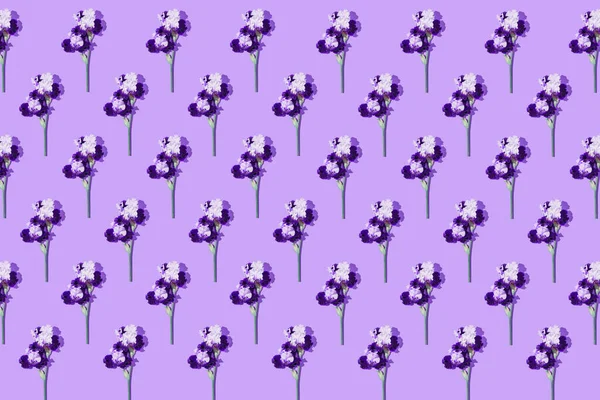 在紫罗兰色的背景上 用美丽的虹膜花做成富有创意的花纹图案 自然概念 简约的风格顶部视图 平躺在床上 — 图库照片