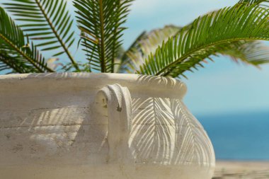 Mavi deniz ve gökyüzüne karşı palmiye ağacı olan büyük bir çömlek. Tatil ve seyahat kavramı.