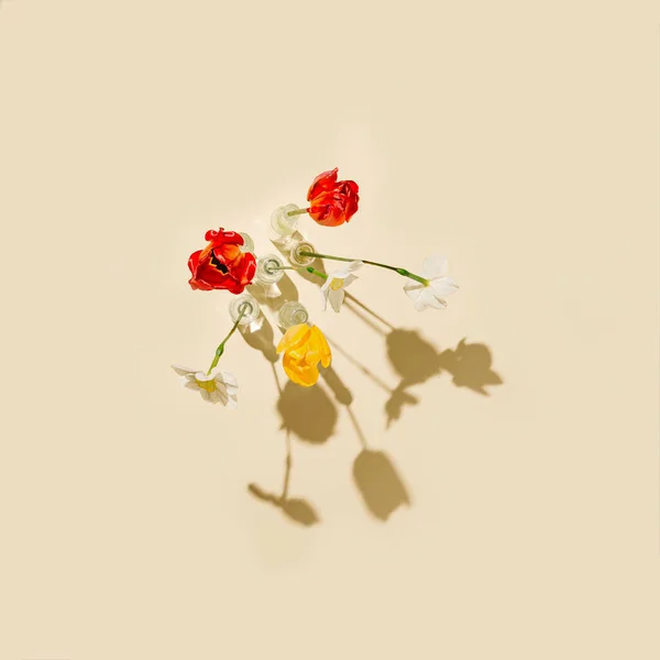 Kukka Koostumus Valmistettu Kauniista Tulppaani Daffodil Kukkia Lasi Maljakoita Pastelli — kuvapankkivalokuva