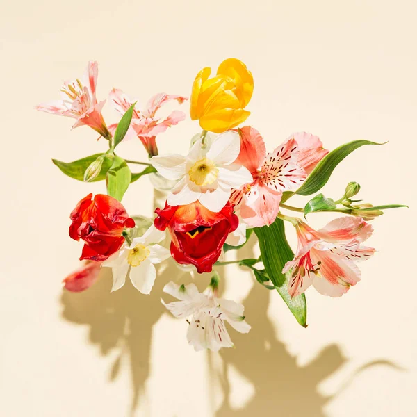 Pastel güneş ışığının arka planında gölgeli güzel bir buketten yapılmış çiçek kompozisyonu. Doğa konsepti. Asgari düzeyde. Seçici odak