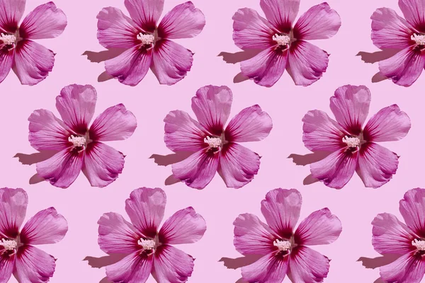 Padrão Floral Feito Belas Flores Hibisco Fundo Rosa Pastel Estilo — Fotografia de Stock