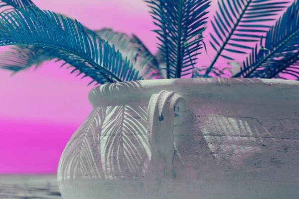 美しいピンクのホルテンシアブッシュ 自然概念の背景 選択的焦点 — ストック写真