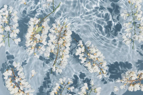 Flores Acácia Branca Água Azul Transparente Composição Floral Verão Com — Fotografia de Stock