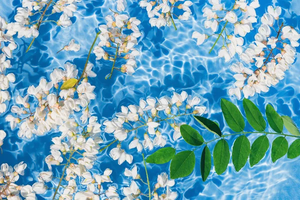 Białe Kwiaty Akacji Niebieskiej Przezroczystej Wodzie Letnia Kompozycja Kwiatowa Słońcem — Zdjęcie stockowe