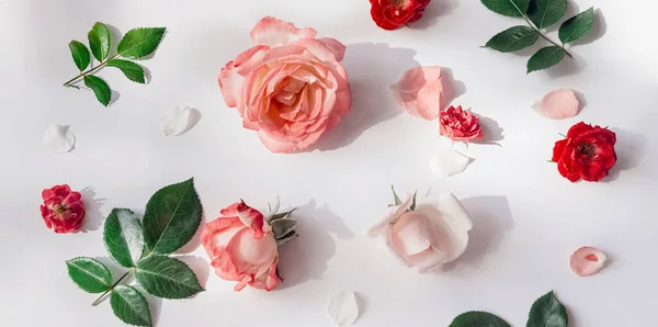 Patrón Verano Hecho Hermosos Brotes Rosa Sobre Fondo Blanco Concepto — Foto de Stock