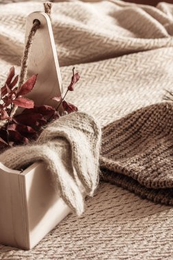 Sıcak örgü, bej yün şapka ve çoraplar, dokulu arka planda kırmızı sonbahar yaprakları. Sonbaharda ya da kışın kalın örülmüş giysiler