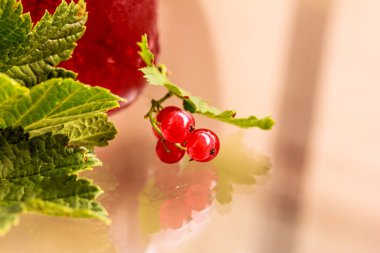 Frenk üzümü dalı, yeşil frenk üzümü yaprakları ve arka planda bir bardak böğürtlen reçeli. Dutlarla dolu güzel bir hayat