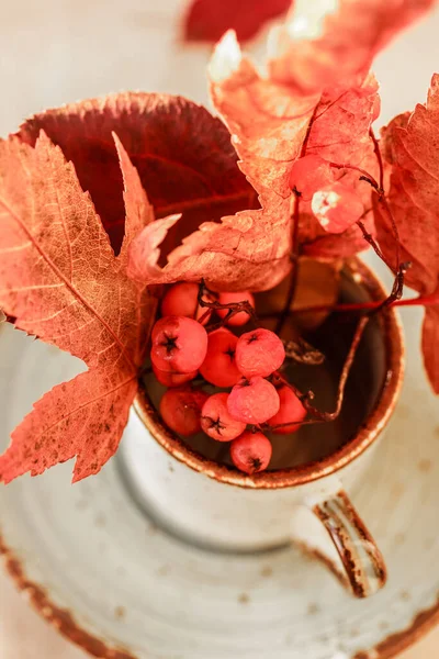 Herbstliche Komposition Fenster Wohnkultur Helle Herbstblätter Und Vogelbeeren Becher Auf — Stockfoto