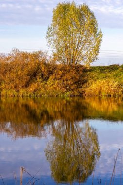 Nehir ve ağaçlı sonbahar manzarası