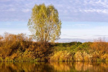 Nehir ve ağaçlı sonbahar manzarası