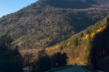Dağların arasındaki yol. Arkhyz. Karachay-Çerkessia. Rusya