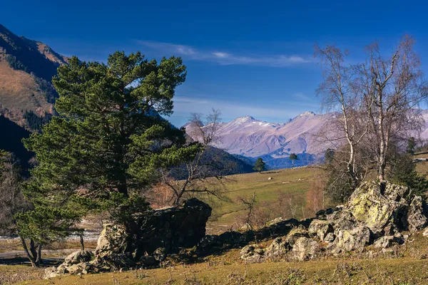 Sonbaharda dağlarda manzara. Arkhyz. Karachay-Çerkessia. Rusya.