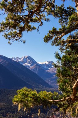 Sonbaharda dağlarda manzara. Arkhyz. Karachay-Çerkessia. Rusya.