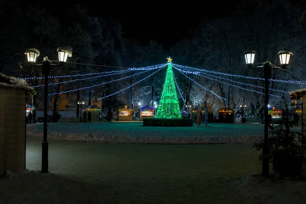 Noworoczne Drzewo Parku Lipki Miasta Vladimir — Zdjęcie stockowe