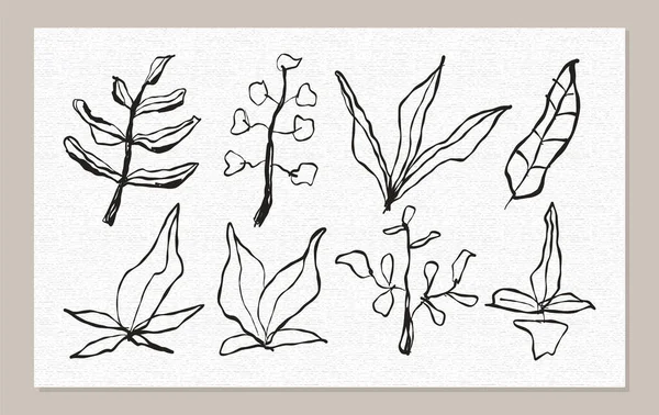 Set Forma Floreale Astratta Pennello Inchiostro Disegnato Mano Decorazione Scarabocchio — Vettoriale Stock