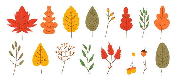 Autumn Leaves Flat Style Dry Mapple Berries Vector Illustration Fall — Vettoriale Stock