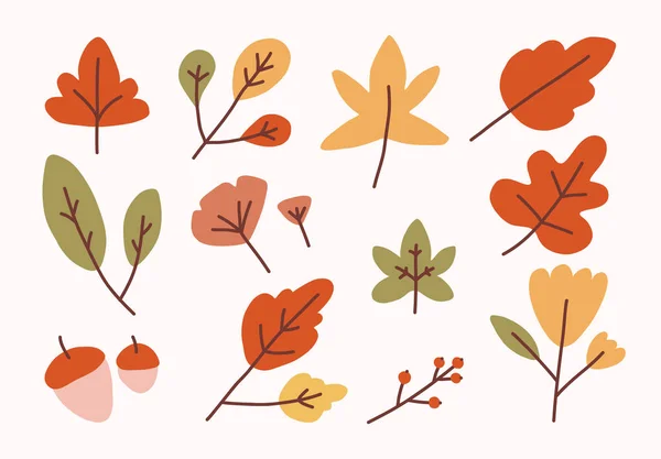 Hand Drawn Autumn Leaves Flat Thanskgiving Leaf Element Wam Color — Stockvector