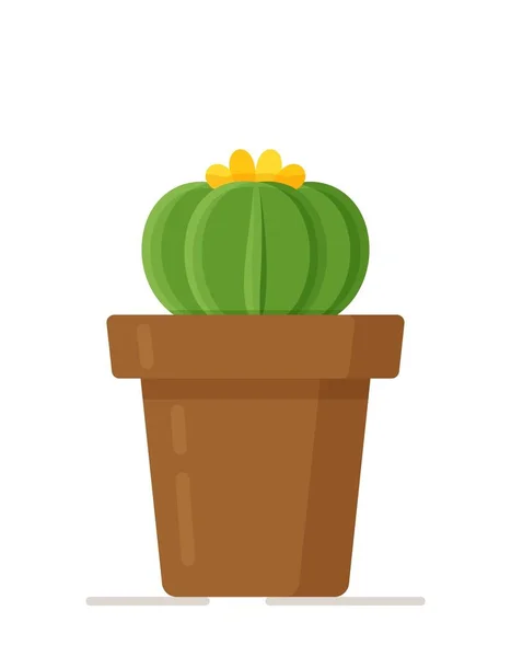 Ilustración Vectorial Cactus Aislado Flor Redonda Una Maceta Plantas Interior — Vector de stock