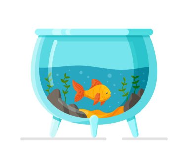 A small aquarium with goldfish isolated on a white background. Vector illustration with water, algae, shells, bubbles, sand and fish. Glass jar with water. 