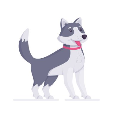 Husky dog is isolated on a white background. Vector illustration of a smooth-haired colored dog. Guardian. Owner. 