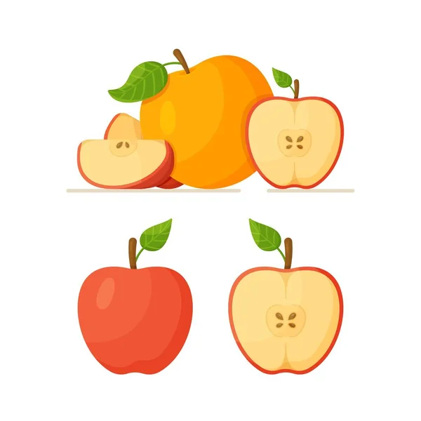 白色背景上的一组不同的苹果 在白色背景上分离的果实的矢量图解 新鲜的自制苹果 — 图库矢量图片