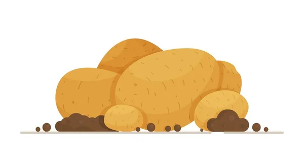 Ένα Λάβαρο Από Βρώμικες Μεγάλες Πατάτες Εικονογράφηση Διανύσματος Ενός Λαχανικού — Διανυσματικό Αρχείο
