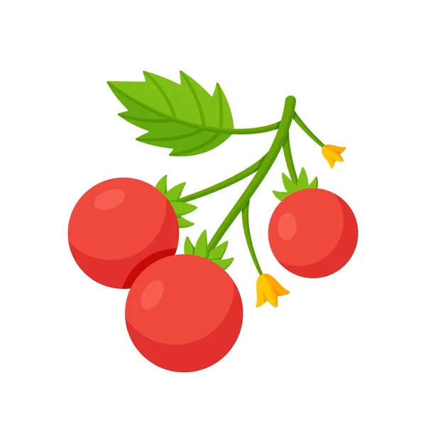 Ένα Κλαδί Κόκκινες Ντομάτες Λευκό Φόντο Διάνυσμα Απομονωμένη Απεικόνιση Ενός — Διανυσματικό Αρχείο