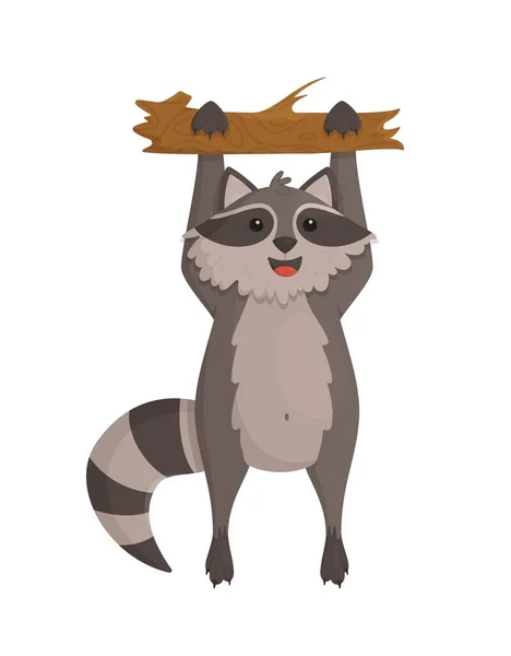 Funny Raccoon Striped Tail Hanging Tree Vector Illustration Local Mammalian — Vector de stock