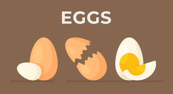 褐色背景的生鸡蛋横幅 完整的 破碎的和煮熟的鸡蛋被分离出来 做早餐 有用的 — 图库矢量图片
