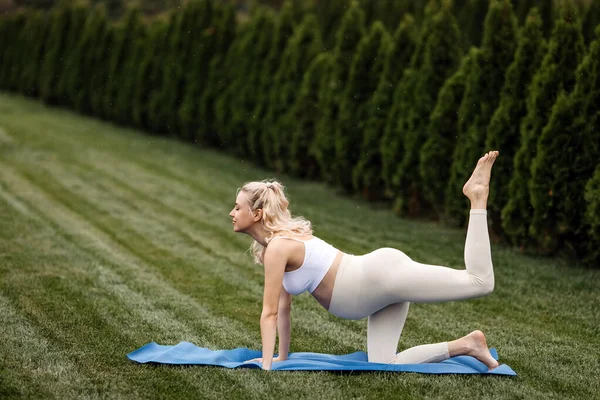 穿着运动服的孕妇 在公园外瑜伽垫上锻炼 — 图库照片