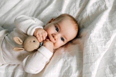 Beş aylık bir bebek yatakta, örülmüş bir tavşan oyuncağıyla oynuyor, onu ısırıyor. İlk diş konsepti.