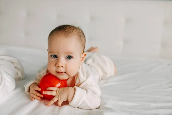 Beş Aylık Bebek Karnının Üstüne Yatmış Gülümsüyor Kırmızı Bir Topla — Stok fotoğraf